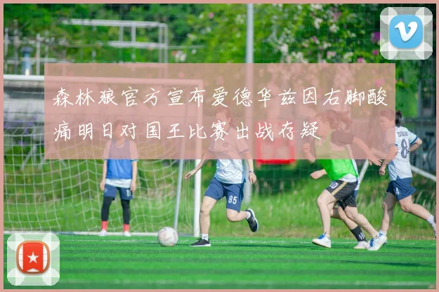 森林狼官方宣布爱德华兹因右脚酸痛明日对国王比赛出战存疑